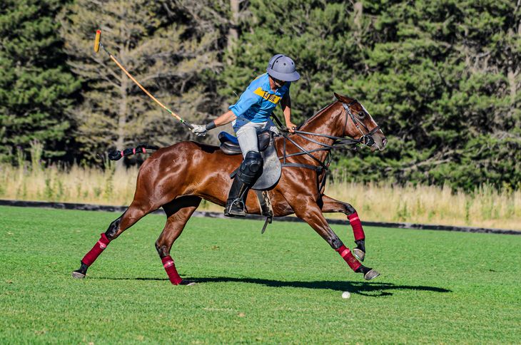 En El Desafío se disfrutó del campeonato de polo Copa Andino Grahn. Foto: gentileza SRN. En El Desafío se disfrutó del campeonato de polo Copa Andino Grahn. Foto: gentileza SRN.