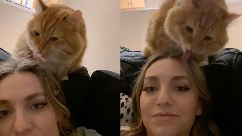 El video no deja de sumar visualizaciones en YouTube