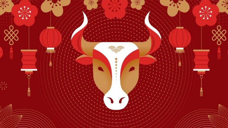 Horóscopo chino: cómo será la suerte del Buey en agosto