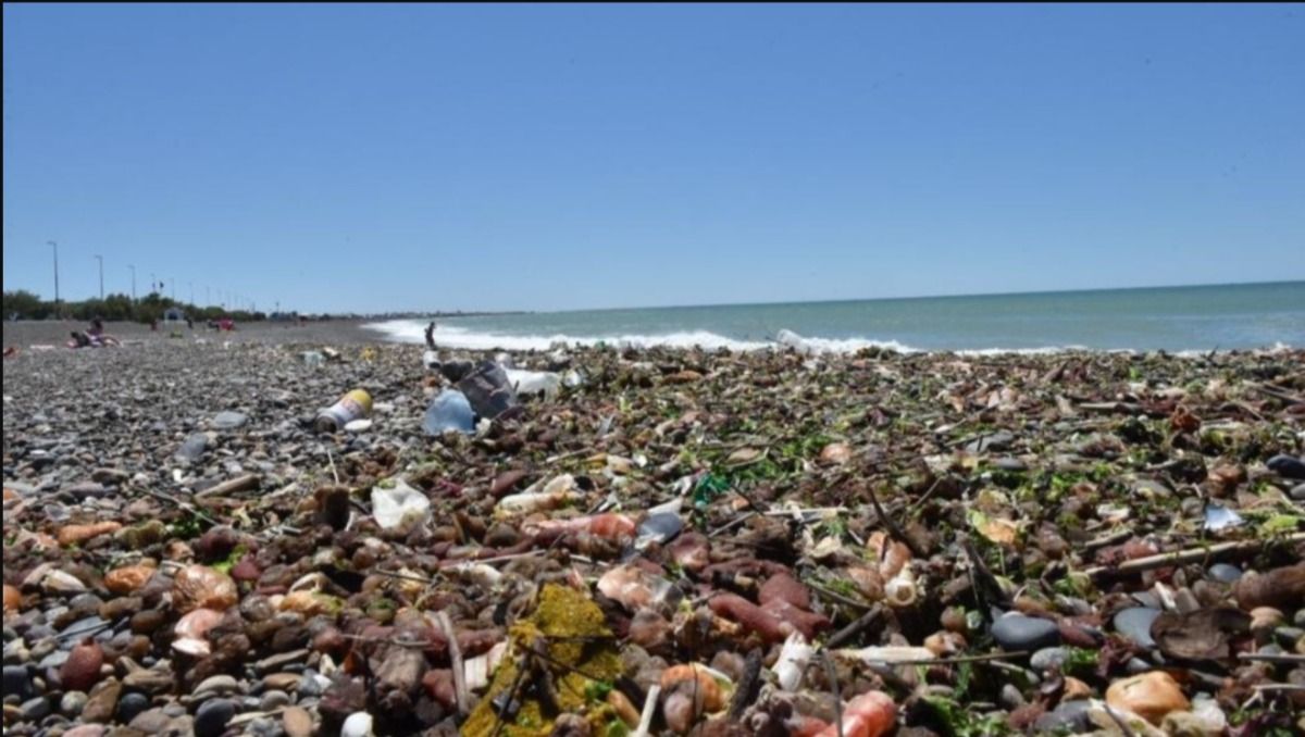 El último fin de semana la costa de Playa Unión apareció llena de desechos de la pesca.&nbsp; 