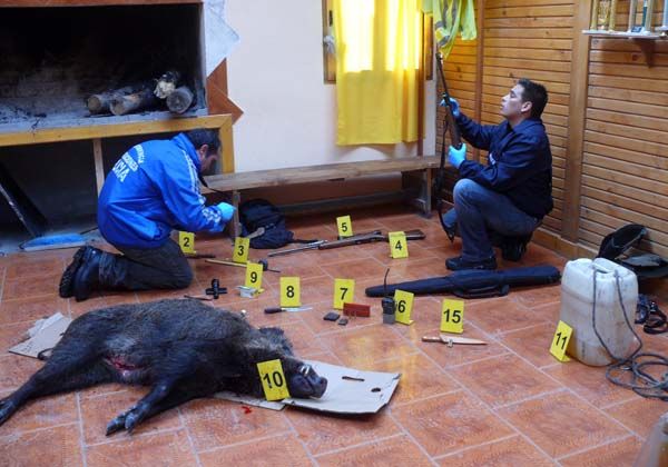 Detuvieron a tres cazadores furtivos en Junín de los Andes