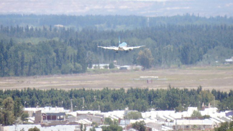 Quieren ahuyentar a unos mil chimangos de la zona del aeropuerto