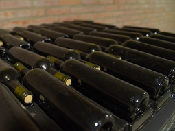 Se busca potenciar las exportaciones agroindustriales nacionales. Foto: argentina.gob.ar Se busca potenciar las exportaciones agroindustriales nacionales. Foto: argentina.gob.ar