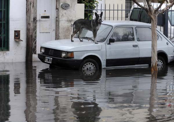 Imágenes del temporal en La Plata