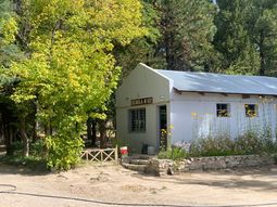 Los alumnos de la escuela rural N° 122 del paraje Bajada de los Molles realizaron una prueba piloto que permitió una cosecha de entre 4 y 6 kg. de hongos. Foto: gentileza Producción. Los alumnos de la escuela rural N° 122 del paraje Bajada de los Molles realizaron una prueba piloto que permitió una cosecha de entre 4 y 6 kg. de hongos. Foto: gentileza Producción.