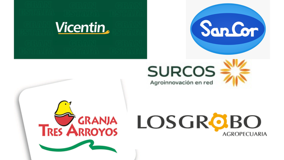 ¿Por qué se derrumban grandes empresas del agro argentino?