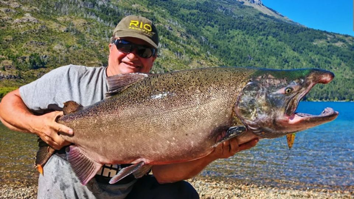 A principio de marzo, un ejemplar de salmón Chinook fue capturado en Lago Puelo. A principio de marzo, un ejemplar de salmón Chinook fue capturado en Lago Puelo.
