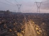 Las nuevas medidas para determinar las causas del incendio