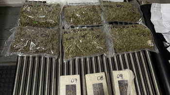 control de gendarmeria en la ruta 22: detienen a una pareja con mas de cinco kilos de cocaina y marihuana control de gendarmeria en la ruta 22: detienen a una pareja con mas de cinco kilos de cocaina y marihuana