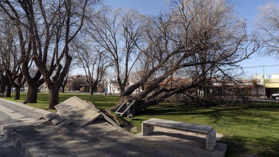 Lo que el viento dejó en la ciudad: caída de techos
