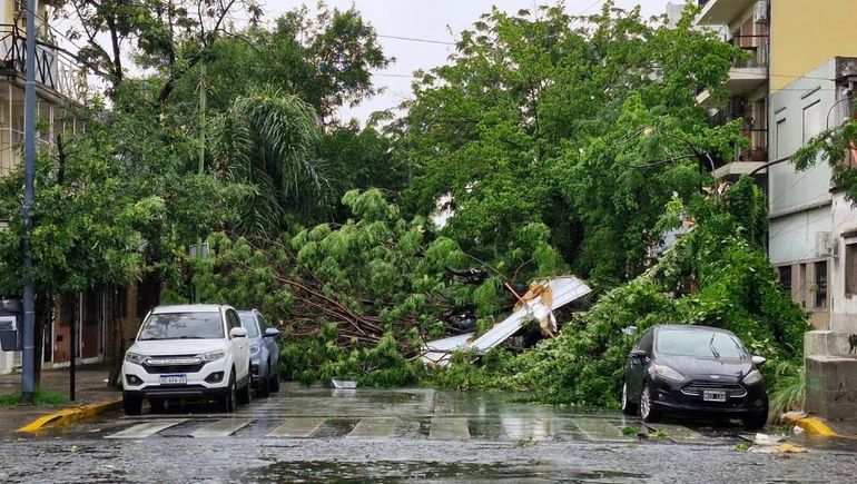 Decretaron la "emergencia" en Buenos Aires por el temporal: árboles caídos, destrozos y 150 mil usuarios sin luz 