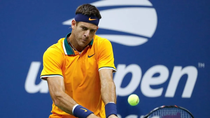finalmente, juan martin del potro no ingreso al salon de la fama del tenis: los motivos finalmente, juan martin del potro no ingreso al salon de la fama del tenis: los motivos