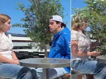 daba una entrevista y le cayo una planta encima: el insolito blooper de colapinto en silverstone