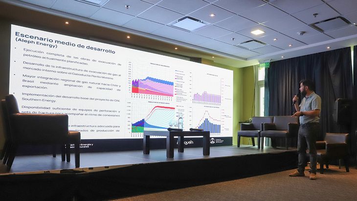 “La ventaja competitiva la tenemos muy de cuesta arriba”. Fabricio Gulino, subsecretario de Hidrocarburos.