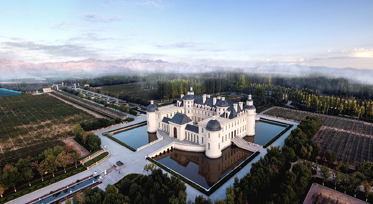 Ningxia es una de las regiones vitivinícolas más aclamadas por la crítica en China, ubicada en el centro-norte. Foto: Changyu Pioneer Wine Company. Ningxia es una de las regiones vitivinícolas más aclamadas por la crítica en China, ubicada en el centro-norte. Foto: Changyu Pioneer Wine Company.