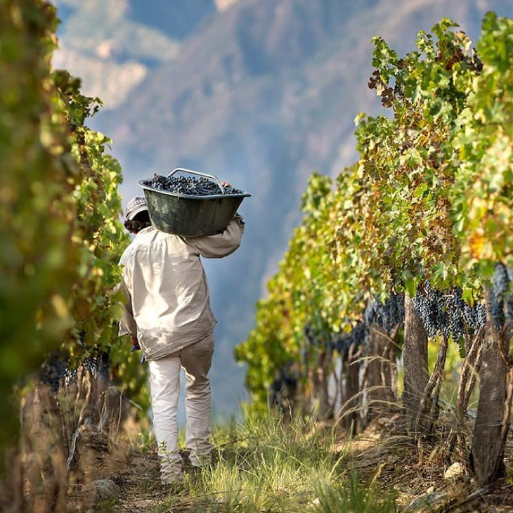 Se busca garantizar la continuidad laboral. Foto: WofA. Se busca garantizar la continuidad laboral. Foto: WofA.