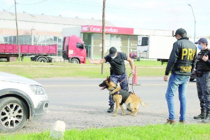 El perro Máximo fue fundamental para hallar la droga oculta en un camión.