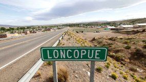 Quién es el hombre que murió por un ataque de avispas chaquetas amarillas | LM Neuquen Quién es el hombre que murió por un ataque de avispas chaquetas amarillas
