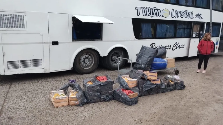 Senasa impidió el ingreso a la región de la mercadería.