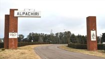 Alpachiri, un pueblo de poco más de 2.000 habitantes. Alpachiri, un pueblo de poco más de 2.000 habitantes.