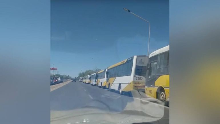 La extraña hilera de colectivos de Autobuses en la multitrocha