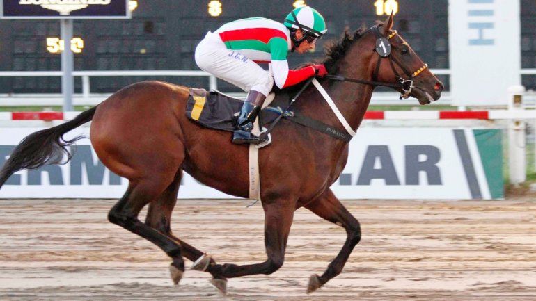 A pura suerte. Brilló Juan Noriega con sus pálpitos y la rompimos