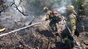 Incendio Valle Magdalena (2).jpg