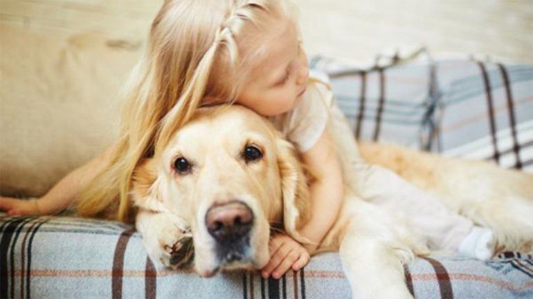 Pirotecnia: ¿cómo proteger a niños con autismo y mascotas de los fuertes estruendos?