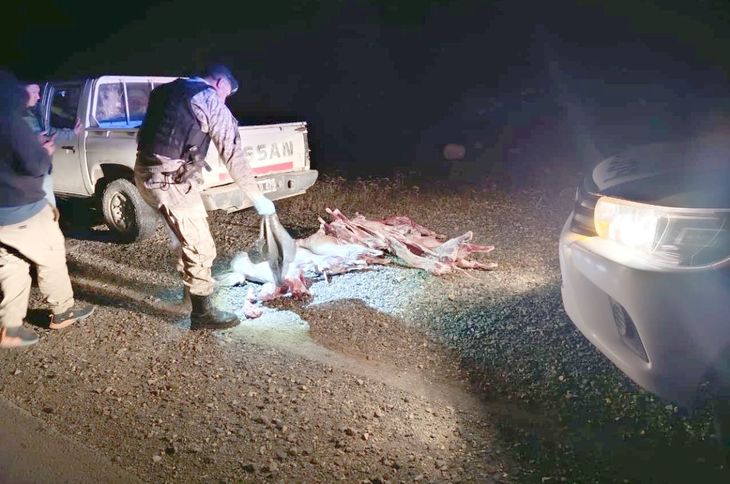 Crianceros denuncian persecución en controles camineros y aseguran que solo intentan sostener a sus familias.