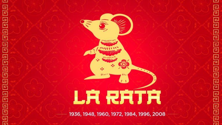 Para este año, a la Rata se le recomienda mantener un perfil bajo y evitar decisiones impulsivas, Para este año, a la Rata se le recomienda mantener un perfil bajo y evitar decisiones impulsivas,