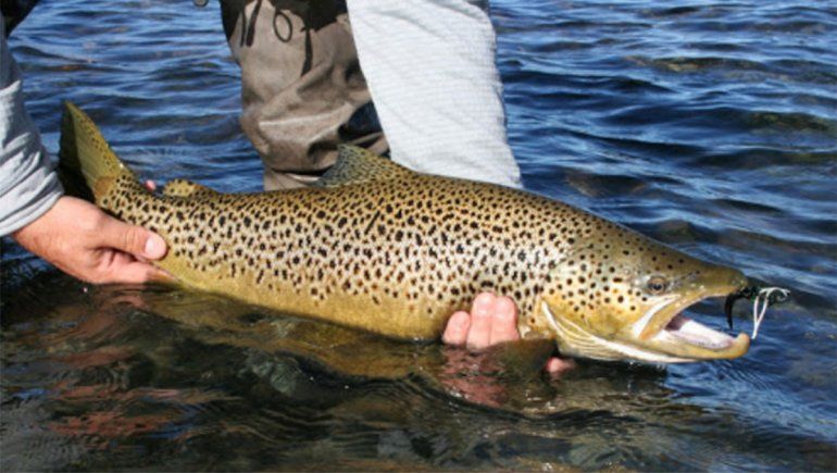 Diputados tratan el adelantamiento de la temporada de pesca