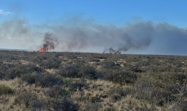 El fuego se había iniciado de madrugada en un campo ubicado unos 50 kilometros al norte de Puerto Madryn. El fuego se había iniciado de madrugada en un campo ubicado unos 50 kilometros al norte de Puerto Madryn.