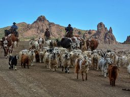 Se espera una primavera seca en los campos neuquinos. Se espera una primavera seca en los campos neuquinos.