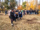 En el marco de la campaña “Somos Semilla”, esta ceremonia, que no dio inicio a la Fiesta Nacional del Pehuén