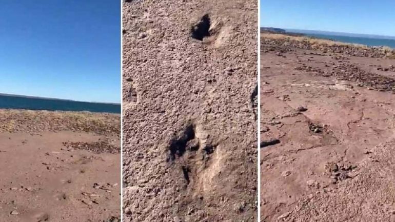Pescaban en El Chocón y hallaron huellas de Dinosaurios