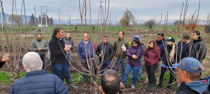 Chile es líder en la producción y exportación de cerezas. Su oferta no paro de crecer en estos últimos quince años. Chile es líder en la producción y exportación de cerezas. Su oferta no paro de crecer en estos últimos quince años.