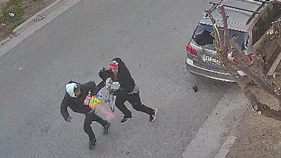 Los ladrones se alzaron con bolsas tras roimper la luneta de un auto.