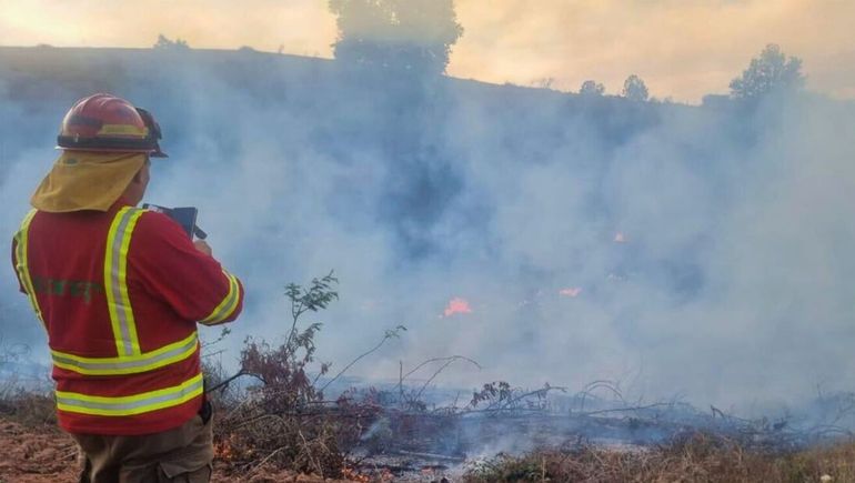 Declaran estado de emergencia por incendios en Chile, cerca del norte neuquino