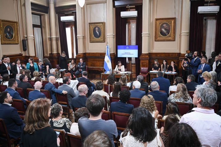 El Senado aprobó el dictamen para suspender las PASO