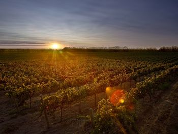enoturismo de argentina, sostenibilidad al frente