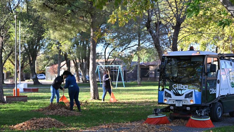 Plan Otoño en la ciudad: comienzan a limpiar las veredas y a cuidar el arbolado urbano