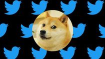 sorpresa: twitter cambia su logo por un perrito sorpresa: twitter cambia su logo por un perrito