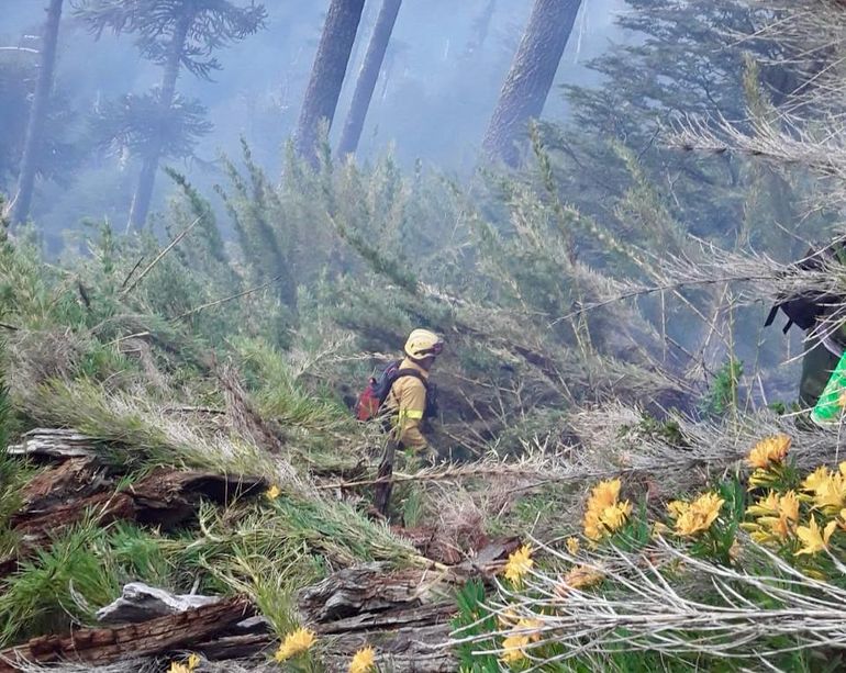 Los brigadistas combaten los focos de incendios en la cordillera neuquina.