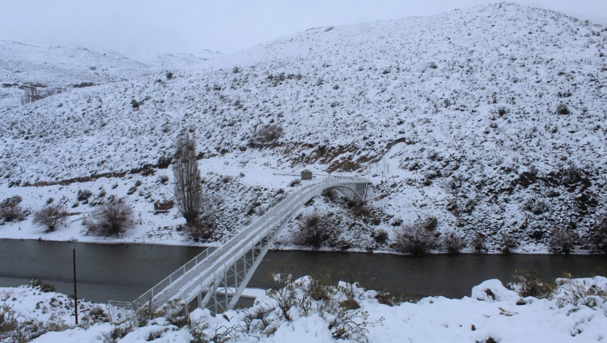 El puente Butalón: el rol clave del ingeniero Cachín Pietro