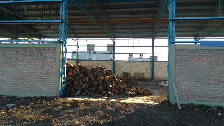 Zapala: roban 6 mil kilos de leña del Operativo Invierno