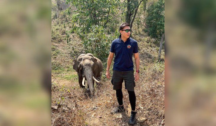 Viral: un elefante reconoció al veterinario que lo curó hace 12 años