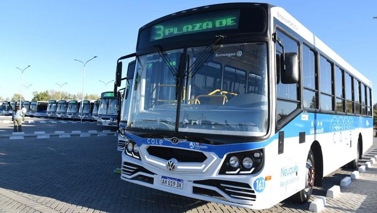 Tres años de COLE: Neuquén sumará más colectivos desde marzo