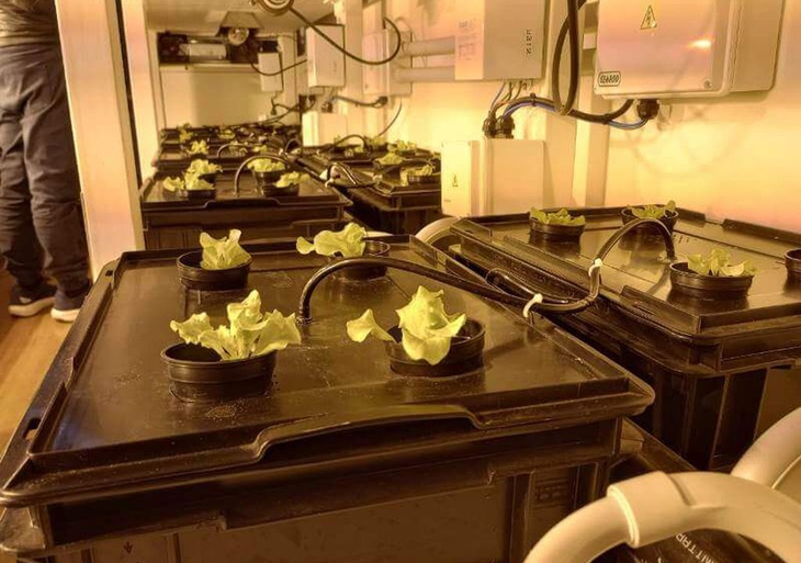 Los cultivos hidropónicos se adaptan a cualquier tipo de espacio y condiciones, y eso es justamente lo que se necesita en el continente blanco. Créditos: a quien corresponde de la dotación Marambio. Los cultivos hidropónicos se adaptan a cualquier tipo de espacio y condiciones, y eso es justamente lo que se necesita en el continente blanco. Créditos: a quien corresponde de la dotación Marambio.