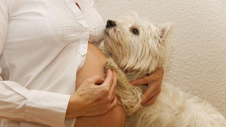 Trae beneficios para la salud e incluso emocionales; y con el bebé ya instalado en casa