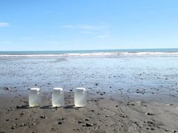 Muestras tomadas por científicos del CENPAT-CONICET, que llevaron adelante por primera vez una relevamiento amplio de la contaminación en el mar y las costas de una zona muy turística. Muestras tomadas por científicos del CENPAT-CONICET, que llevaron adelante por primera vez una relevamiento amplio de la contaminación en el mar y las costas de una zona muy turística.